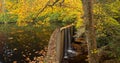 Quiet Mountain Lake in Autumn Royalty Free Stock Photo