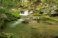 Quiet Mountain Trout Stream Royalty Free Stock Photo