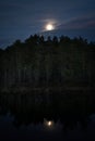 A quiet night on the bog