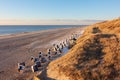 Quiet North Sea beach Royalty Free Stock Photo