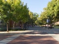 Quiet park of California State University with lush green trees on warm summer day