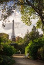 Eiffel Tower between trees