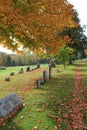 Quiet path through the graveyard