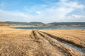 Country road towards the lake in Navarra, Spain