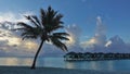 A quiet, peaceful morning in the Maldives.