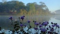 Quiet, peaceful scenery of Than Tho lake, Da Lat Royalty Free Stock Photo