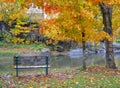 Vermont Fall Foliage 1