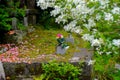 quiet place of rest : gravestone marker surrounded by spring foliage Royalty Free Stock Photo
