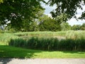 Quiet pond in europe