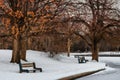 Quiet pond and park landscape