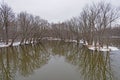 Quiet Reflections in a River Bayou Royalty Free Stock Photo