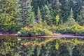 Quiet reflections of the vegetation around Current River, , Thunder Bay, ON, Canada Royalty Free Stock Photo