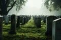 Quiet repose Cemetery adorned with rows of solemn grave stones Royalty Free Stock Photo