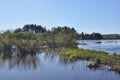 Quiet river backwater