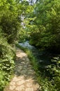 Quiet by the River Dove Royalty Free Stock Photo