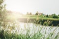 Quiet river, grassy shore and village countryside background Royalty Free Stock Photo