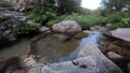 Quiet river lake with slow moving water