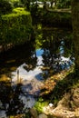 Quiet river stream water reflection on a rain forest Royalty Free Stock Photo