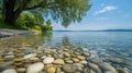 A quiet riverside scene with clear water, smooth pebbles, and trees Royalty Free Stock Photo
