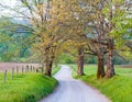 Quiet road in the smokeys Royalty Free Stock Photo