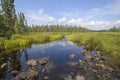 Quiet Route Through the Wetlands Royalty Free Stock Photo