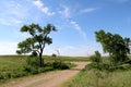 A quiet rural country dirt road lined with grass hillside and trees under an overcast blue sky perfect for seasonal marketing as Royalty Free Stock Photo