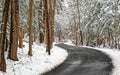 Quiet rural winding, curved road in Winter snow