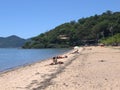 The forest at the end of the beach