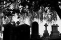 Campo Santo, Sint-Amandsberg, Belgium: historic cemetery in black and white