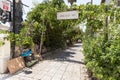 Quiet side street lined with vines for shade near the main pedestrian HaMeyasdim in Zikhron Yaakov city in northern Israel
