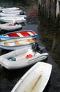 The boats are all tied to the pier.