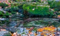 Quiet small river rushing through mountain canyon Royalty Free Stock Photo