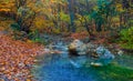 Quiet small river rushing through mountain canyon Royalty Free Stock Photo