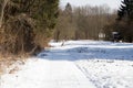 A quiet, snowy path in the middle of a forest