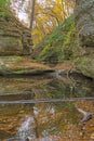 Quiet Stream and the Muted Colors of Autumn