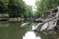 Quiet stream in the woods