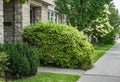 Quiet street with sidewalk and idyllic homes in a suburban neighborhood. residential area with a lot of green trees Royalty Free Stock Photo