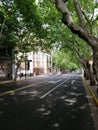 Quiet Street at summer afternoon in Shanghai city China