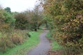 Quiet trail of an autumn park surrounded by green and yellow trees