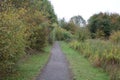 Quiet trail of a green park surrounded by trees and plants under the sky