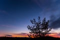Pine tree silhouette on a varicoloured dusk sky background Royalty Free Stock Photo