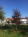 Quiet village square in Essex