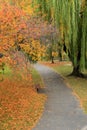 Quiet walk through the park, with Fall foliage adding to peaceful feeling