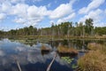 Marshland Early Autumn