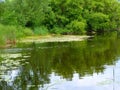 The quietest part near the shore of the dam fascinates with tranquility and greenery