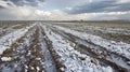 The quietness after a hailstorm seems almost surreal as shards of ice litter the ground and ruined crops lay in disarray