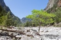 Quietness of the Samaria Gorge Royalty Free Stock Photo