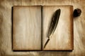 Quill on old book Royalty Free Stock Photo