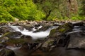 The Quillayute River cascades over moss covered rocks towards the Sol Duc Falls in Olympic National Park Royalty Free Stock Photo