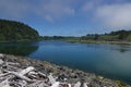 Quillayute River Near Forks, Washington, USA